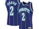 Larry Johnson Charlotte Hornets 1994/95 Hardwood Classics Swingman Jersey - Purple