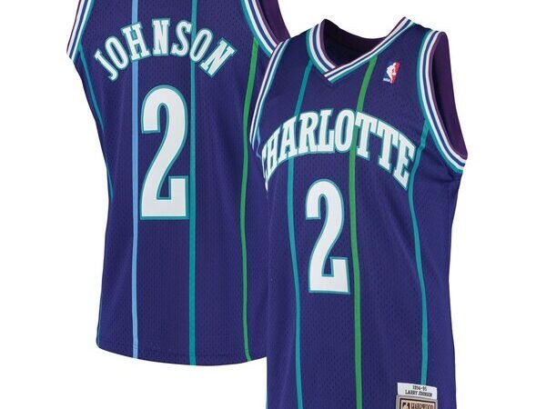 Larry Johnson Charlotte Hornets 1994/95 Hardwood Classics Swingman Jersey - Purple