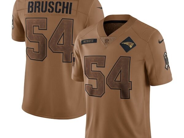 Tedy Bruschi New England Patriots Nike 2023 Salute To Service Retired Player Limited Jersey - Brown
