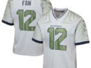 12s Seattle Seahawks Nike Youth 2025 Rivalries Collection Game Jersey - Wolf Gray