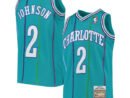 Larry Johnson Charlotte Hornets Youth 1992/93 Hardwood Classics Swingman Jersey - Teal