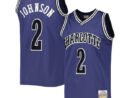 Larry Johnson Charlotte Hornets 1994/95 Hardwood Classics Off-Court Swingman Jersey - Purple