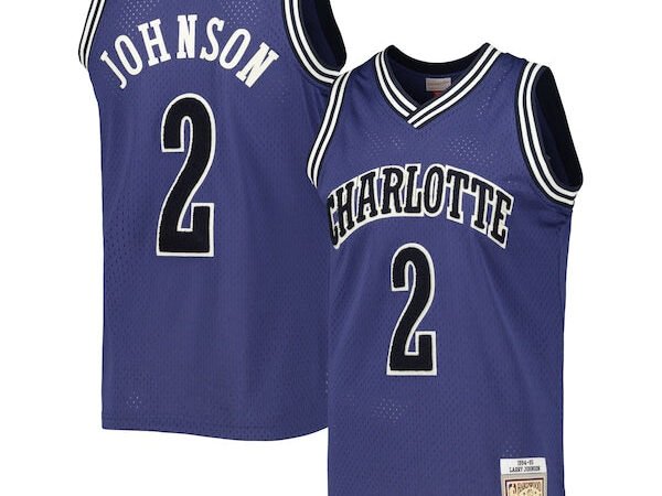 Larry Johnson Charlotte Hornets 1994/95 Hardwood Classics Off-Court Swingman Jersey - Purple