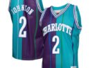 Larry Johnson Charlotte Hornets Hardwood Classics Split Swingman Jersey - Teal/Purple