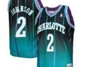 Larry Johnson Charlotte Hornets 1992/93 Hardwood Classics Fadeaway Swingman Player Jersey - Teal/Black