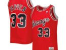 Scottie Pippen Chicago Bulls  Hardwood Classics 2003-04 Swingman Jersey - Red