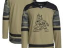 Arizona Coyotes adidas Military Appreciation Team Authentic Practice Jersey - Camo
