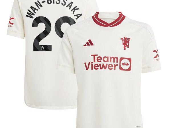 Aaron Wan-Bissaka Manchester United adidas Youth 2023/24 Third Replica Player Jersey - White/Green