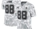 CeeDee Lamb Dallas Cowboys Nike 2024 Salute to Service Limited Jersey - Arctic Camo