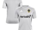 LA Galaxy adidas 2025 Training Jersey - Silver