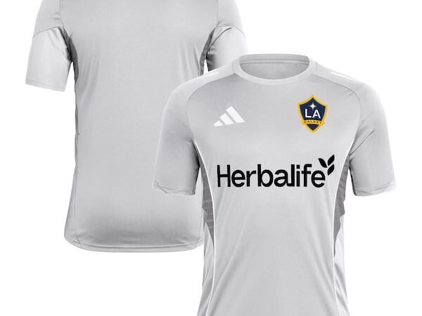 LA Galaxy adidas 2025 Training Jersey - Silver