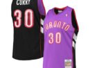 Dell Curry Toronto Raptors 2001/02 Hardwood Classics Swingman Jersey - Purple