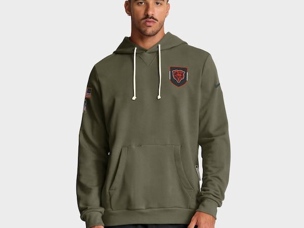 Chicago Bears Nike 2025 Salute to Service Sideline Standard Issue Dri-FIT Hoodie - Olive