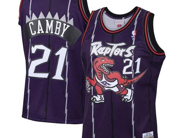 Marcus Camby Toronto Raptors 2001/02 Hardwood Classics Swingman Jersey - Purple