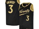 OG Anunoby Toronto Raptors Nike Swingman Player Jersey - City Edition - Black