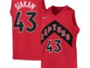 Pascal Siakam Toronto Raptors Nike Youth 2021/22 Diamond Swingman Jersey - Icon Edition - Red