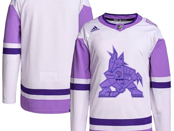 Arizona Coyotes adidas Hockey Fights Cancer Primegreen Authentic Blank Practice Jersey - White/Purple
