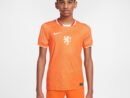 Netherlands National Team Nike Youth 2025/26 Home Replica Jersey - Orange