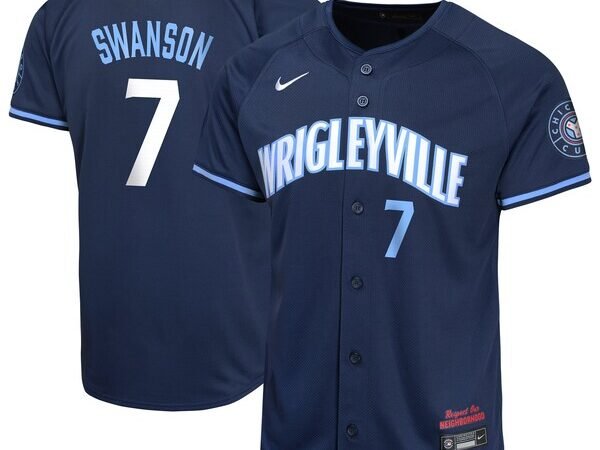 Dansby Swanson Chicago Cubs Nike Youth City Connect Limited Player Jersey - Navy
