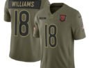 Caleb Williams Chicago Bears Nike 2025 Salute to Service Limited Jersey - Olive