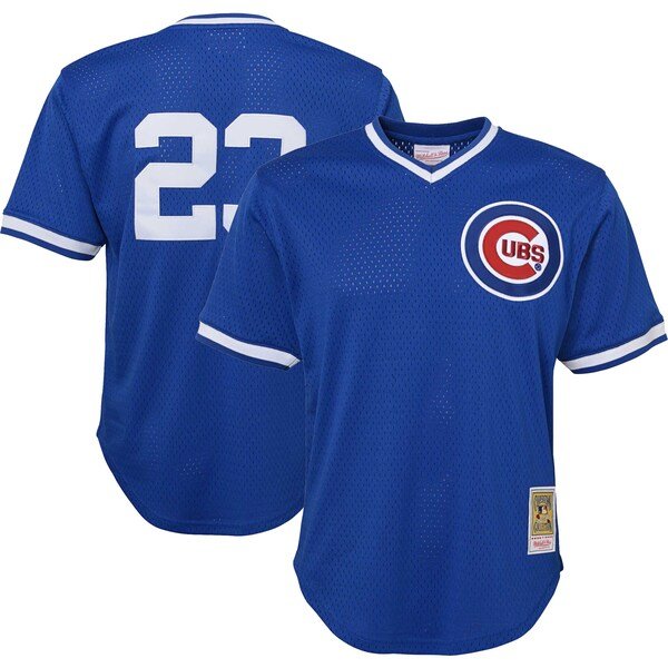 Ryne Sandberg Chicago Cubs Youth Cooperstown Collection Mesh Batting Practice Jersey - Royal