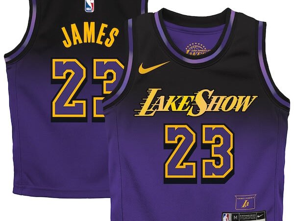 LeBron James Los Angeles Lakers Nike Preschool 2024/25 Swingman Player Jersey - City Edition - Purple