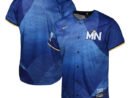 Minnesota Twins Nike Youth 2024 City Connect Limited Jersey - Royal