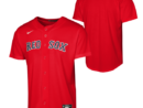 Boston Red Sox Nike Youth Alternate Replica Jersey - Red