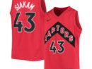 Pascal Siakam Toronto Raptors Nike Youth Swingman Jersey - Icon Edition - Red/White