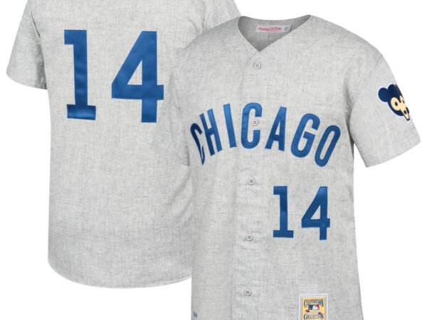 Ernie Banks Chicago Cubs Gray Away 1969 Authentic Jersey - Gray