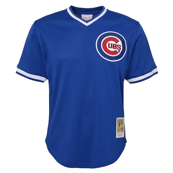 Ryne Sandberg Chicago Cubs Youth Cooperstown Collection Mesh Batting Practice Jersey - Royal