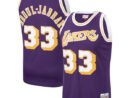 Kareem Abdul-Jabbar Los Angeles Lakers  Hardwood Classics Swingman Jersey - Purple/Gold