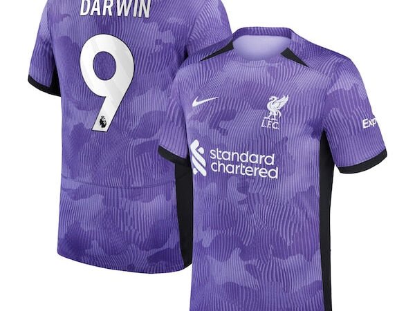 Darwin Núñez Liverpool Nike Youth 2023/24 Third Stadium Replica Player Jersey - Purple