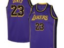 LeBron James Los Angeles Lakers Jordan Brand Youth Performance Swingman Jersey - Statement - Purple