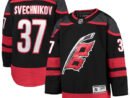Andrei Svechnikov Carolina Hurricanes Youth Home Premier Player Jersey - Black
