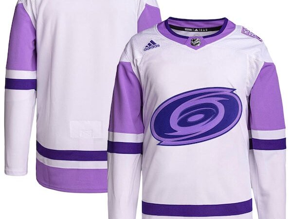 Carolina Hurricanes adidas Hockey Fights Cancer Primegreen Authentic Blank Practice Jersey - White/Purple