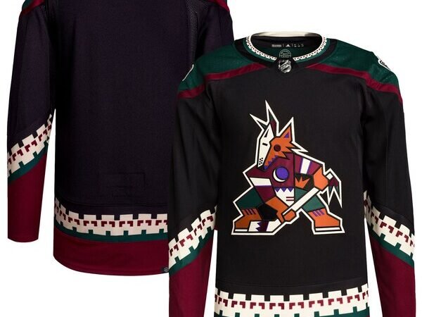 Arizona Coyotes adidas Men's Home Primegreen Authentic Blank Jersey - Black