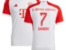 Serge Gnabry Bayern Munich adidas 2023/24 Home Replica Jersey - White