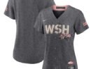 Washington Nationals Nike Women's City Connect Replica Team Jersey - Gray