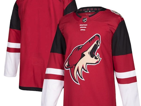 Arizona Coyotes adidas Home Authentic Blank Jersey - Maroon