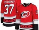 Andrei Svechnikov Carolina Hurricanes adidas  Primegreen Authentic Player Jersey - Red/Black