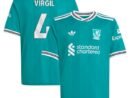 Virgil van Dijk Liverpool adidas Youth 2025/26 Third Replica Player Jersey - Green/Red