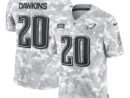 Brian Dawkins Philadelphia Eagles Nike 2024 Salute to Service Retired Player Limited Jersey - Arctic Camo
