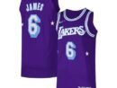 LeBron James Los Angeles Lakers Nike Authentic Player Jersey - City Edition - Purple