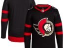 Ottawa Senators adidas Men's Home Primegreen Authentic Blank Jersey - Black