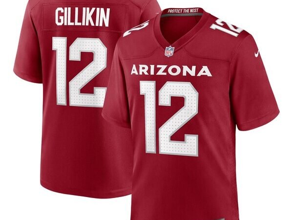 Blake Gillikin Arizona Cardinals Nike Team Game Jersey -  Cardinal