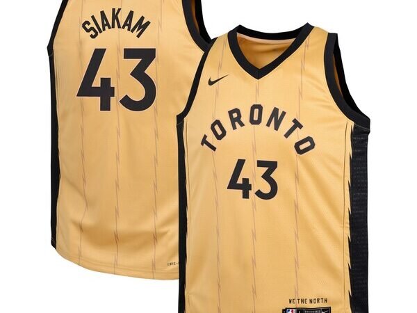 Pascal Siakam Toronto Raptors Nike Youth  Swingman Replica Jersey - City Edition - Gold