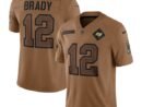 Tom Brady Tampa Bay Buccaneers Nike 2023 Salute To Service Limited Jersey - Brown