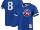 Andre Dawson Chicago Cubs Cooperstown Collection Mesh Batting Practice Jersey - Royal