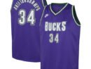 Giannis Antetokounmpo Milwaukee Bucks Nike Youth 2022/23 Swingman Jersey Purple - Classic Edition